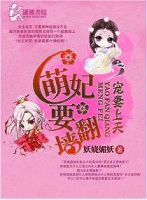 小说《宠妻上天之萌妃要翻墙》经典语录文案和名句摘抄