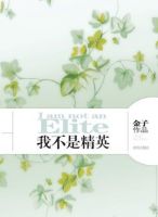 小说《我不是精英》经典语录文案和名句摘抄