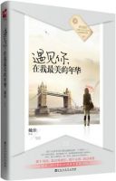 小说《遇见你，在我最美的年华》经典语录文案和名句摘抄