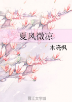 小说《夏风微凉》经典语录文案和名句摘抄