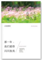 小说《那一年，我们爱得闪闪发亮》经典语录文案和名句摘抄