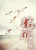 小说《鹤群》经典语录文案和名句摘抄