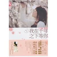 小说《我在千寻之下等你》经典语录文案和名句摘抄