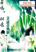 小说《若了金，似近》经典语录文案和名句摘抄