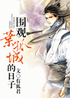 小说《围观叶孤城的日子》经典语录文案和名句摘抄