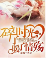 小说《碎了时光，暖了情殇》经典语录文案和名句摘抄