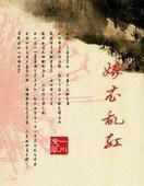 小说《嫁衣乱红》经典语录文案和名句摘抄