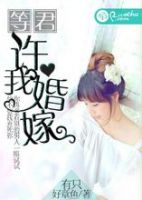 小说《等君许我婚嫁》经典语录文案和名句摘抄