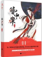 小说《簪中案》经典语录文案和名句摘抄