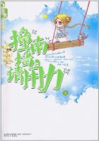 小说《撞南墙，请用力》经典语录文案和名句摘抄