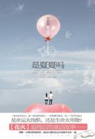小说《是夏夏吗》经典语录文案和名句摘抄