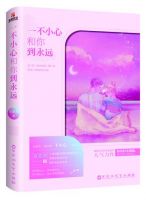 小说《一不小心和你到永去过》经典语录文案和名句摘抄