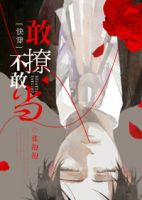 小说《敢撩不敢当》经典语录文案和名句摘抄