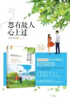 小说《忽有故人心上过》经典语录文案和名句摘抄