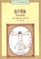 小说《镜中微瑕》经典语录文案和名句摘抄