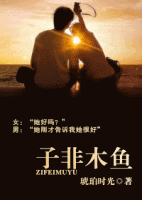 小说《子非木鱼》经典语录文案和名句摘抄