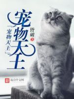 小说《宠物心来卓》经典语录文案和名句摘抄