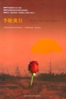 小说《半轮黄日》经典语录文案和名句摘抄