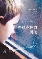 小说《穿过森林的男孩》经典语录文案和名句摘抄