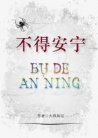 小说《不得安宁》经典语录文案和名句摘抄