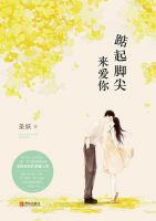 小说《踮起脚尖来爱你》经典语录文案和名句摘抄