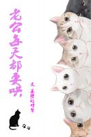 小说《老公每天都要哄》经典语录文案和名句摘抄