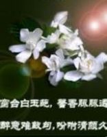 小说《窗棂边的栀子花》经典语录文案和名句摘抄