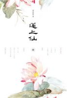 小说《莲上仙》经典语录文案和名句摘抄