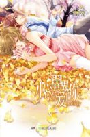 小说《小心翼翼爱上你》经典语录文案和名句摘抄