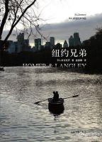 小说《纽约兄弟》经典语录文案和名句摘抄