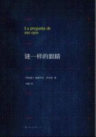小说《谜一样的眼睛》经典语录文案和名句摘抄