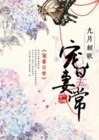 小说《宠妻日常》经典语录文案和名句摘抄