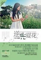 小说《逆光夏花》经典语录文案和名句摘抄