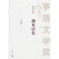 小说《湖光山色》经典语录文案和名句摘抄