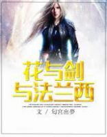 小说《花与剑与法兰西》经典语录文案和名句摘抄