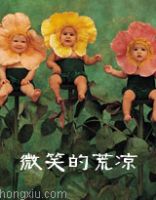 小说《微笑的荒凉》经典语录文案和名句摘抄