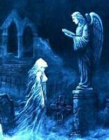 小说《释罪的咏叹调》经典语录文案和名句摘抄