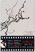 小说《北纬已北》经典语录文案和名句摘抄