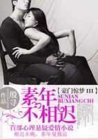 小说《豪门惊梦3素年不相迟》经典语录文案和名句摘抄