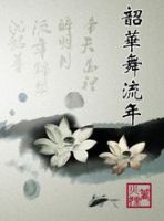 小说《韶华舞流年》经典语录文案和名句摘抄