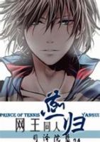 小说《网王同人-燕归》经典语录文案和名句摘抄