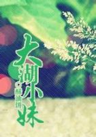 小说《大湖小妹》经典语录文案和名句摘抄