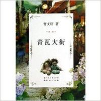 小说《青瓦大街》经典语录文案和名句摘抄