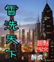 小说《雪洗天下》经典语录文案和名句摘抄