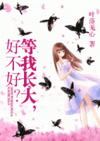 小说《等我长大好不好》经典语录文案和名句摘抄