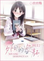 小说《夕阳的容颜》经典语录文案和名句摘抄