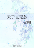 小说《天子岂无愁》经典语录文案和名句摘抄