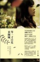 小说《等一寸日光来倾城》经典语录文案和名句摘抄