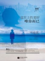 小说《这世上的美好，唯你而已》经典语录文案和名句摘抄