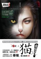 小说《血夜爱上猫》经典语录文案和名句摘抄